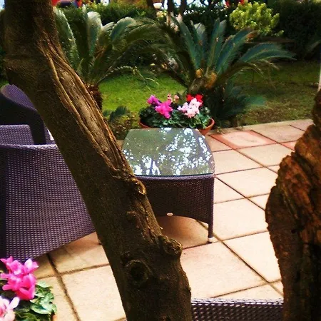 Diana Hotel 3*